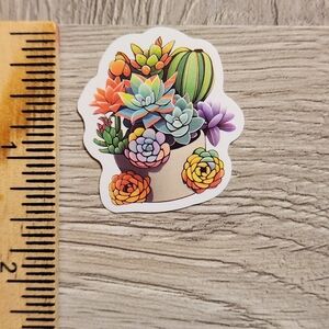 10/$10 Succulent Sticker Plant